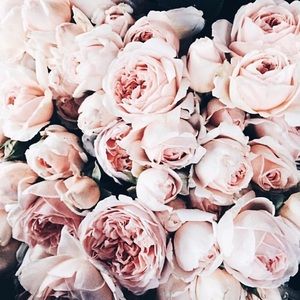 Private Listing for Courtney (Tennis Rackets)